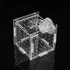 Aquarium Fish Breeding Isolation Box Baby Fish Incubator for Hatch Breeder Fish