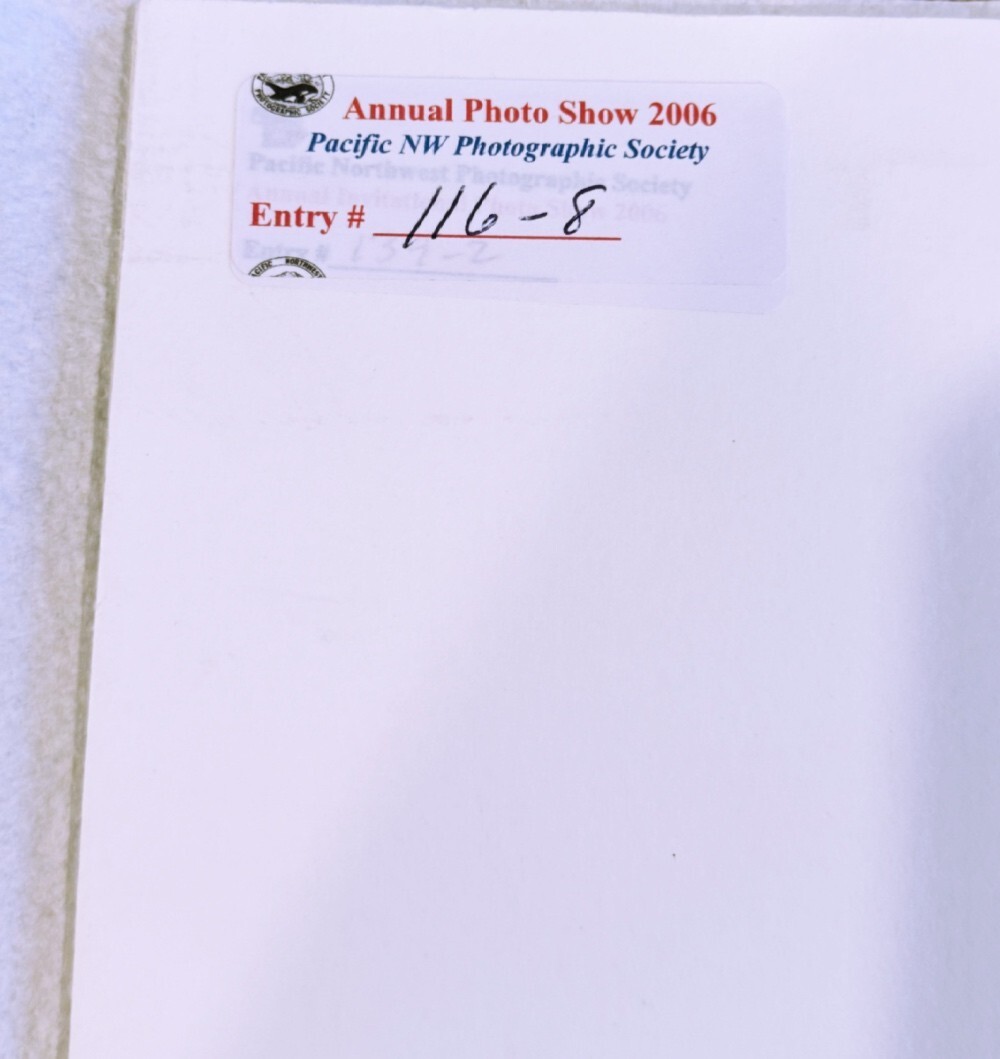 Picture 4 of 6