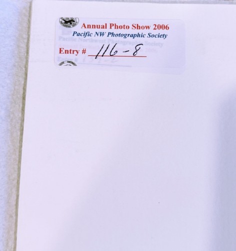 LOVELY MATTED PHOTOGRAPH HUMMINGBIRD ON BRANCH 2006 PHOTO SHOW VERY GOOD - Picture 4 of 6