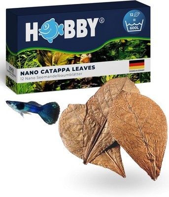 HOBBY Aquaristik Nano Catappa Leaves I 12 Stück I Nano-Seemandelbaumblätter für 
