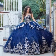 Customized Glittering Navy Blue Quinceanera Dresses Sliver Flower Lace Beading