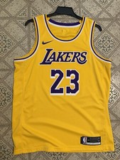 LeBron James Los Angeles Lakers Large Jersey 48 Nike