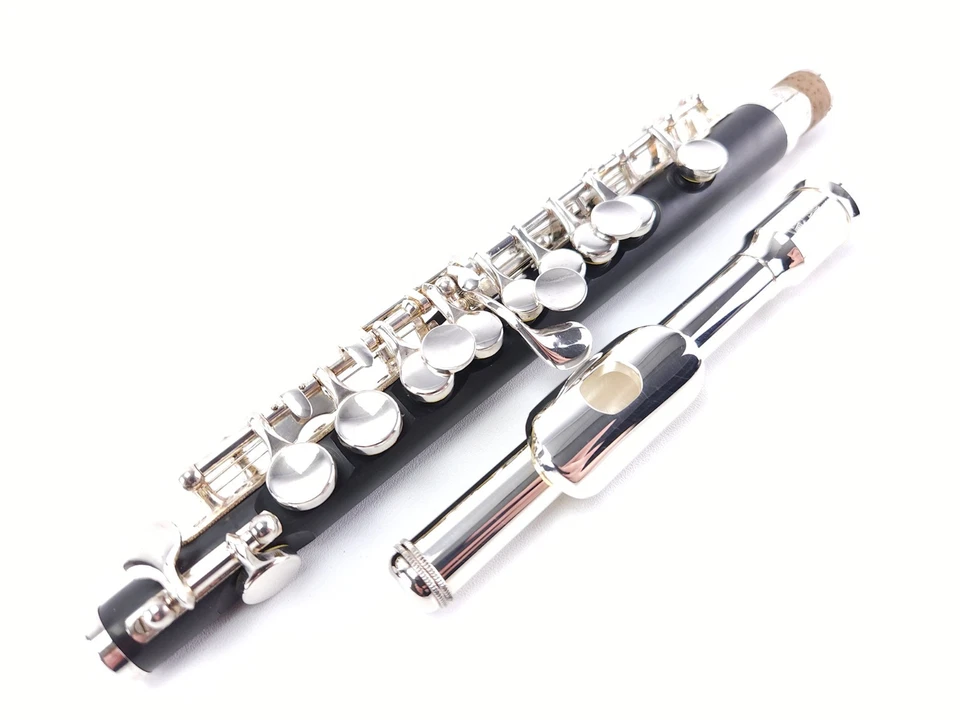 Acento compuesto reacondicionado principiante estudiante Piccolo PC512P + garantía Foto 2 de 4