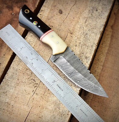 8  Damascus Fixed Blade Skinner Knife Camel Bone Bull Horn Handle