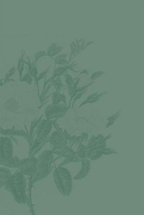 Thumbnail - Die Damen Mit Dem Grünen Daumen Claudia Lanfranconi