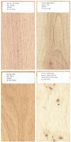 40 Stck. Set mit 1/2 x 3 x 6" Holzproben zum Sammeln, Messerwaagen usw. Set 1 - Bild 11 von 13