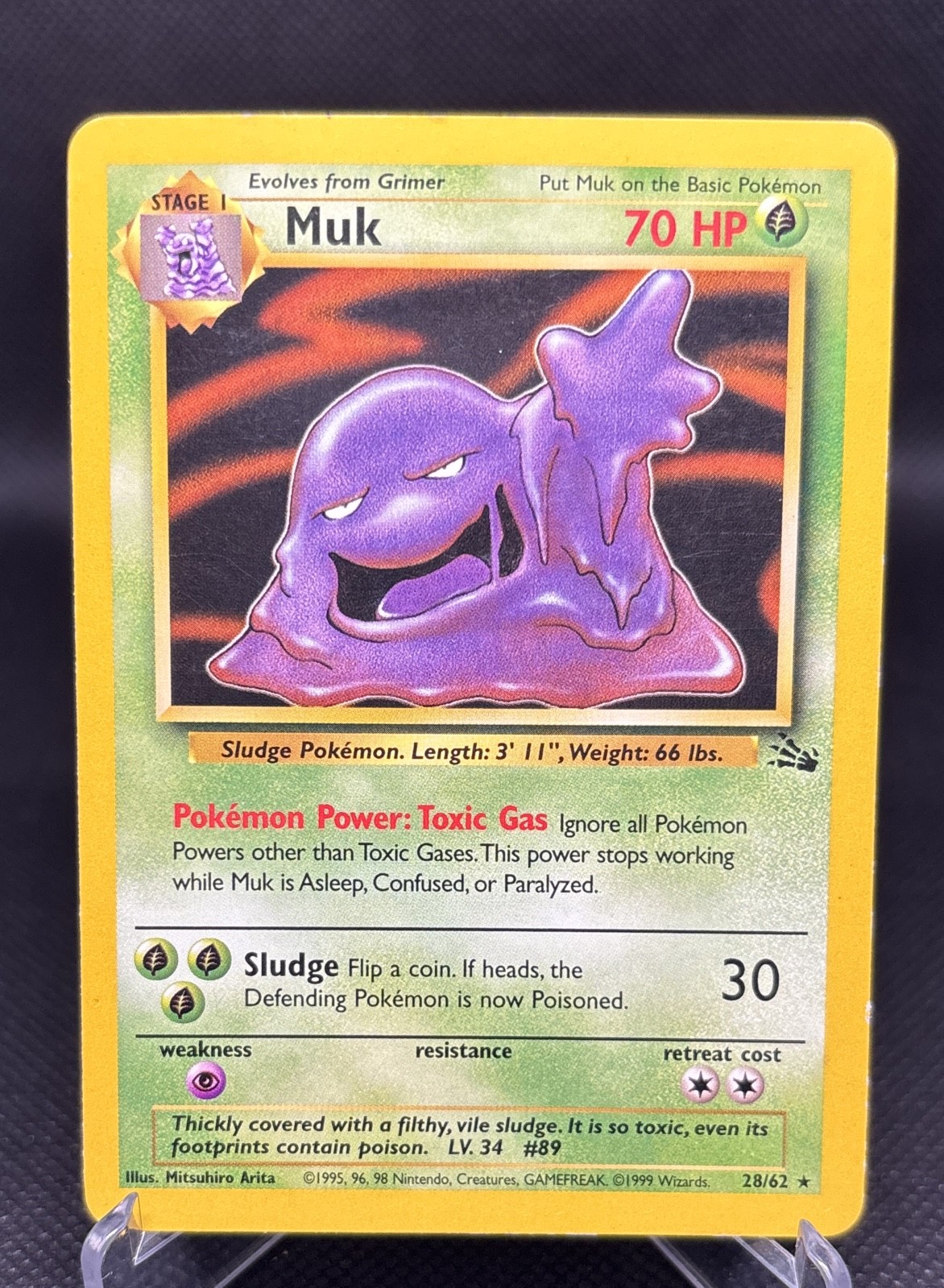 Muk 28/62 Fossil Regular