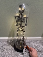 Skeleton Light Up Halloween Tabletop Decor 18.5” New