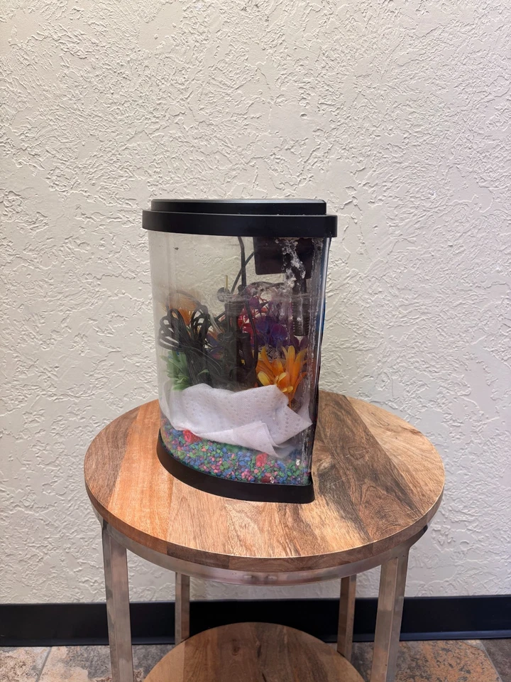 PECERA CON MUCHOS ACCESORIOS Foto 4 de 4