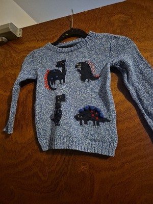 Jungen Dinosaurier Pullover Muskatnuss Alter 3-4 Jahre