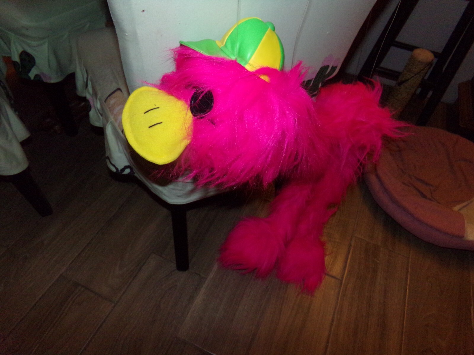 Picture 4 of 4