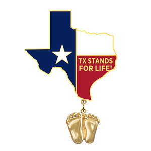 Authentic Precious Feet, 14K Gold Plated, Texas Flag Jewelry, Lapel Pin