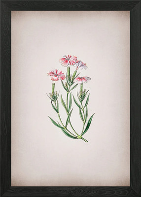 Tree Pink on Parchment Framed Wall Art Poster Canvas Print Picture