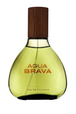 Puig Agua Brava Eau de Cologne Spray 100ml Herrenduft frischer holziger Duft