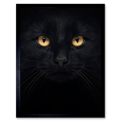 Gerahmter Wandkunstdruck Schwarze Katze Gesicht Nahaufnahme 9 x 7