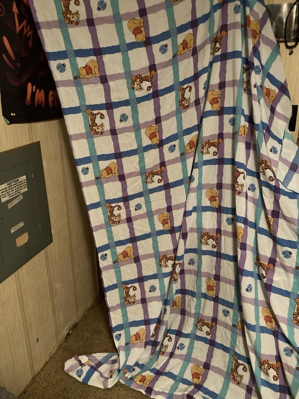 vintage 1990s Disney Winnie the Pooh and Tigger plaid bed sheet