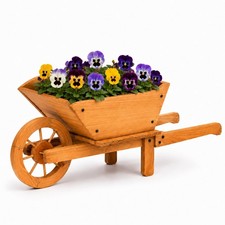 NEW! Garden Wooden Wheelbarrow Flower Planter Ornamental Plant Pot