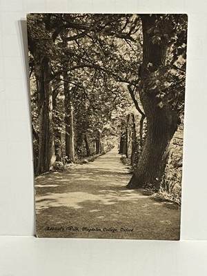 Addisons Walk Magdalen College Oxford England Postcard A86