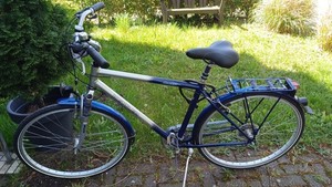 e bike fully österreich HAIBIKE ADVENTR 11 ABS Glasbox Regal für Brennholz Nachhaltige Geschenke Rahmengröße:46 cm - S