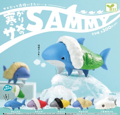 SAMMY the cold shark all 5 types set (gacha gacha complete) Japan