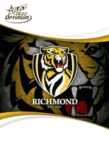 2022 RICHMOND TIGERS AFL Card CLUB LOGO Optimum