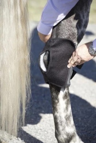 Envoltura de corvejón de hielo (única) para terapia equina con 3 bolsas de hielo para poni - Imagen 4 de 8