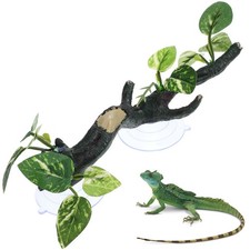  Snake Climbing Accessories Reptile Tank Accessory Branches For Reptiles