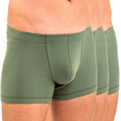 HERMKO Herren Pant 3x Bio-Baumwolle Unterhose Shorts Pant Übergröße 3901