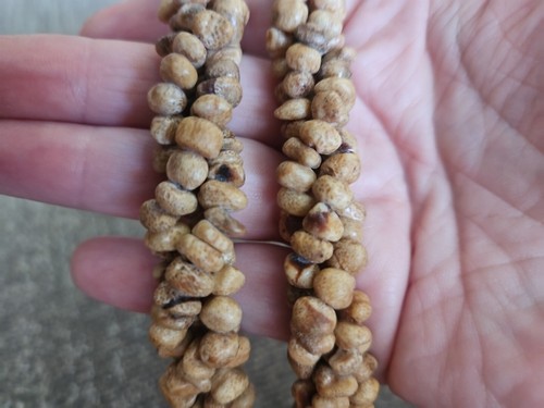 Lee Sands? Inlaid Shell Stone MOP Iconic Lion Face Chunky Necklace & Earring Set - Picture 14 of 16