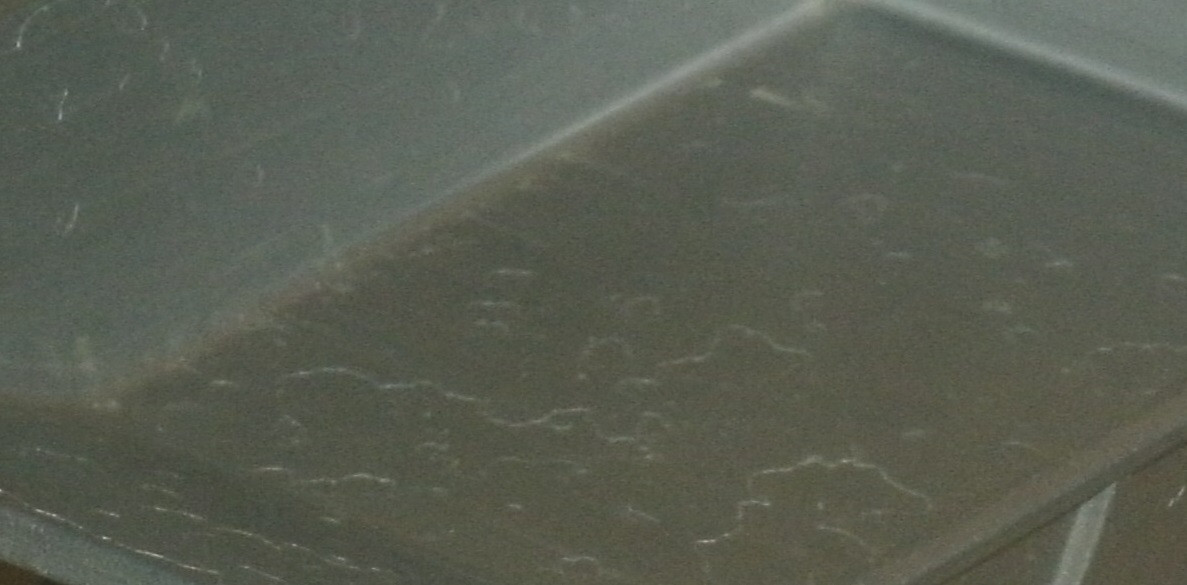 Picture 11 of 13
