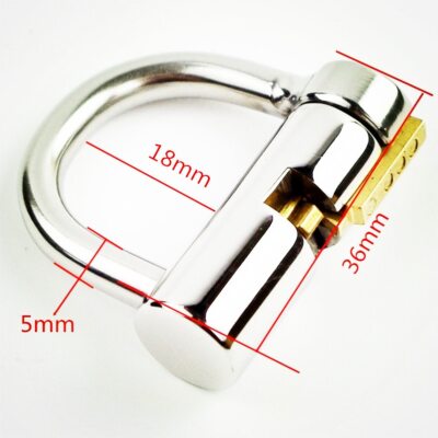 5MM PA LOCK PRINCE LOCKED CHASTITY PIERCING Titanium D-Ring PA Lock Glans