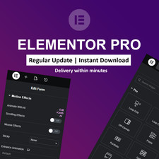 👉Elementor Pro page builder 🔥 wordpress plugin Letest version