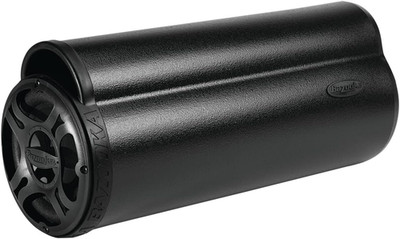 BT6024DVC BT Series 6-Inch 4-Ohm Dual Passive Tube