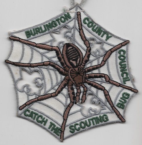 Patch Catch the Scouting Bug c2010 Burlington County Council BSA 3.5"
