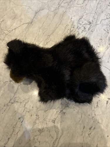 Folkmanis Baby Black Bear Hand Puppet - Picture 3 of 3