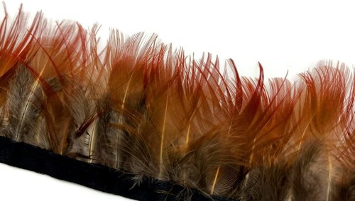 Red Golden Pheasant Feather Trim Halloween Costume Mardi Gras Feathers 1 Yard