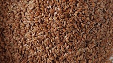 100% Natural Flax Seeds Brown Healthy High in Fibre and Omega 3