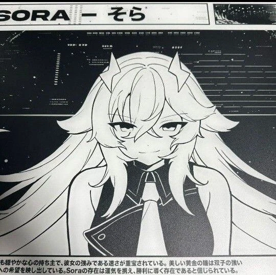 SKYPAD 3.0 XL SHINY SORA LIMITED EDITION Used JP | eBay