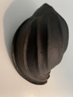 Unique Lot of 6 New Decorator Shells from SPI Home Decor Collection-Beautiful — photo 4