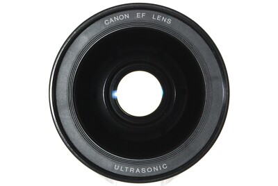 Canon EF 28-70mm f/2.8 L ULTRASONIC Zoom Lens Without a Light