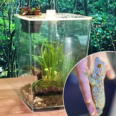 Acrylic Terrarium Tank Reptile Terrarium Gecko Lizard Snake Spider Vivarium Cage
