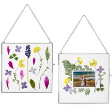 Glass Frame for Pressed Flowers, Leaf and Artwork - Hanging Square Metal Pict...