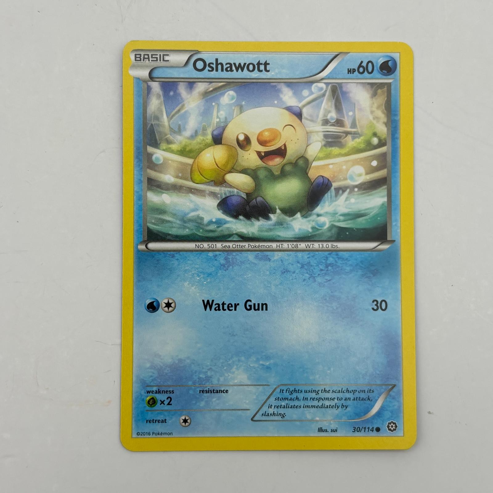 Oshawott 30/114 Common Steam Siege Pokemon Lightly Played