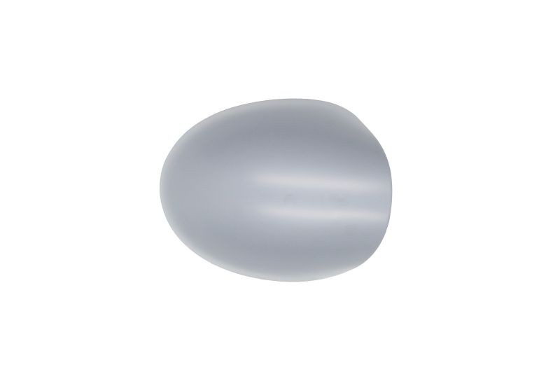 2x ✅Fits BLIC 6103-09-2002218P Side mirror cover 6103-09-2002218P Th ⭐UK Seller⭐