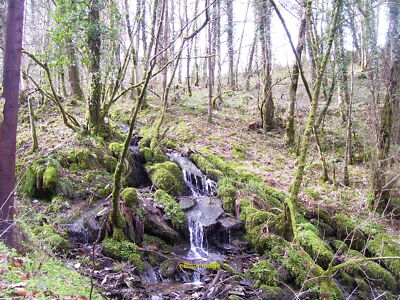 Foto 12x8 kleiner Wasserfall hinunter zum Afon Cych Cwmcych 2 c2016