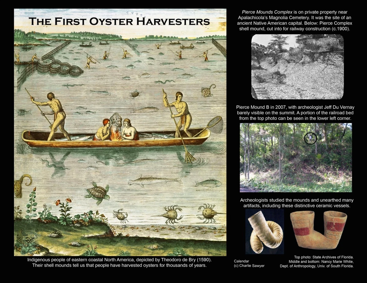 Oyster Adams Calendar 2024 2024 Buffy Coralie