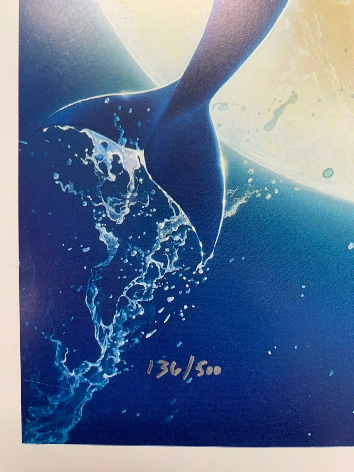 Jarrett Holderby Dolphins Print signed and numbered eBay