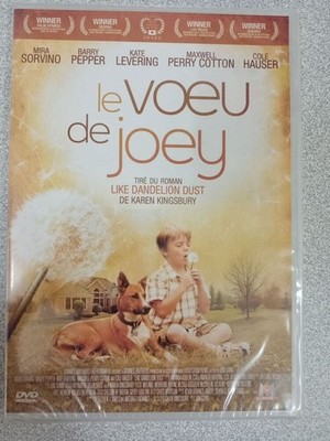 DVD - Der Wunsch Von Joey (Karen Kingsbury) | Guter Zustand