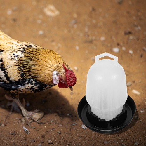 2 PCS Chicken Water Feeder Automatic Drinking Fountain Baby Poultry - Picture 5 of 12
