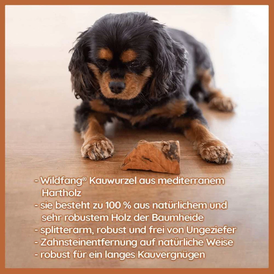 Kauwurzel aus Baumheide für Hunde, Kauspielzeug, robustes Hundespielzeug - Bild 4 von 4